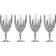 Waterford Markham Drinking Glass 50.275cl 4pcs