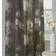 Madison Park Abelia Printed Floral Rod Pocket & Back Tab Voile Sheer 127x241.3cm