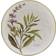 Certified International Fresh Herbs Salad Dish 4pcs