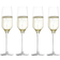 Stölzle Lausitz Experience Champagne Glass 18.4cl 4pcs