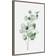 Amanti Art Tender Sprout I by Eva Watts Framed Art 40.6x59.2cm