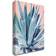 Trademark Fine Art Alana Clumeck Agave with Coral Poster 35x47"
