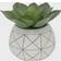 Flora Bunda Artificial Succulent with Geometric Ceramic Pot Vase 6.8"