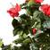 Nearly Natural 48in. Hibiscus Artificial Tree in Green and Red Decoration 48"
