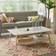 Madison Park Parker Coffee Table 24x48"