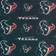 Foco Houston Texans Team Logo Infinity Scarf