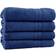 Modern Threads Spunloft Bath Towel Blue (137.16x76.2)