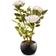 National Tree Company 9.5" White Rose Flower Decoration 9.5"