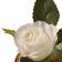 National Tree Company 9.5" White Rose Flower Decoration 9.5"