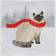 Trademark Global Victoria Borges Christmas Cats and Dogs III Wall Decor 19.5x26"