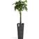 Ecopots Rotterdam Pot 32cm