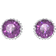 Swarovski February Birthstone Stud Earrings - Silver/Purple