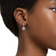Swarovski Constella Drop Earrings - Rose Gold/Transparent