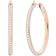 Swarovski Stone Hoop Earrings - Rose Gold/Transparent