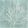 Trademark Global Seaweed on Aqua II by Vision Studio Wall Decor 15.5x21"