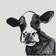 Trademark Global Victoria Borges Cow Contour I Wall Decor 36.5x48"