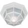 Acclaim Lighting Flushmount 2L Ceiling Flush Light 11.2"