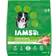 IAMS MiniChunks Chicken & Whole Grains 13.6