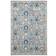 Safavieh Evoke Collection Multicolor 36x60"