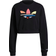 Adidas Womens Adi-color Shattered Trefoil Cropped Sweatshirt - Black