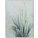 Blue Plant Framed Art 35.5x47.1"