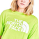 The North Face Half Dome Cropped T-Shirt - Green