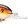 Strike King Pro-Model 3XD Crankbait 12g DB Crew