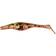 Zalt Shad Burbot 21cm