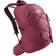 Gregory Kiro 22 Backpack - Amethyst Purple