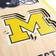 YouTheFan Michigan Wolverines 3D Stadium Banner