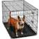 Paws & Pals Training Crate 36"