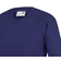 AWDis Kid's Academy Crew Neck Raglan School Sweatshirt 2-pack - Purple