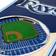 YouTheFan Tampa Bay Rays 3D Stadium View Banner