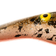 Zalt Shad Burbot 21cm