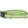 Harry Barker Eton Dog Collar L