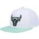 Mitchell & Ness Chicago Bulls Pure Platinum Mint Snapback Hat Men - White