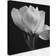 Trademark Fine Art Gardenia Wall Decor 24x24"