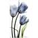 Empire Art Direct Three Blue Tulips Glass Wall Decor 24x48"