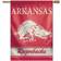 WinCraft Arkansas Razorbacks College Vault Single-Sided Vertical Banner