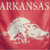 WinCraft Arkansas Razorbacks College Vault Single-Sided Vertical Banner