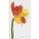 Empire Art Direct Orange Yellow Parrot Tulip on White Frameless Free Floating Tempered Glass Panel Graphic Wall Art Wall Decor 32x48"