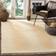 Safavieh Montauk Collection Beige 36x60"