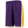 Mitchell & Ness Los Angeles Lakers Hardwood Classics Swingman Shorts