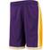 Mitchell & Ness Los Angeles Lakers Hardwood Classics Swingman Shorts