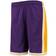 Mitchell & Ness Los Angeles Lakers Hardwood Classics Swingman Shorts