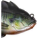 Catchco 10000 Head Hunter 8cm License To Gill