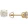 Macy's Iridescent Screwback Stud Earrings - Gold/Transparent