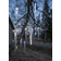 Star Trading Icicle Lichterkette 24 Lampen