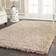 Safavieh New Orleans Shag Beige 60x96"