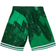Mitchell & Ness Boston Celtics Hyper Hoops Swingman Short Sr